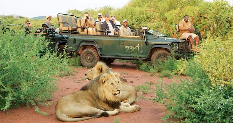 Pilanesberg safari or leisure day
