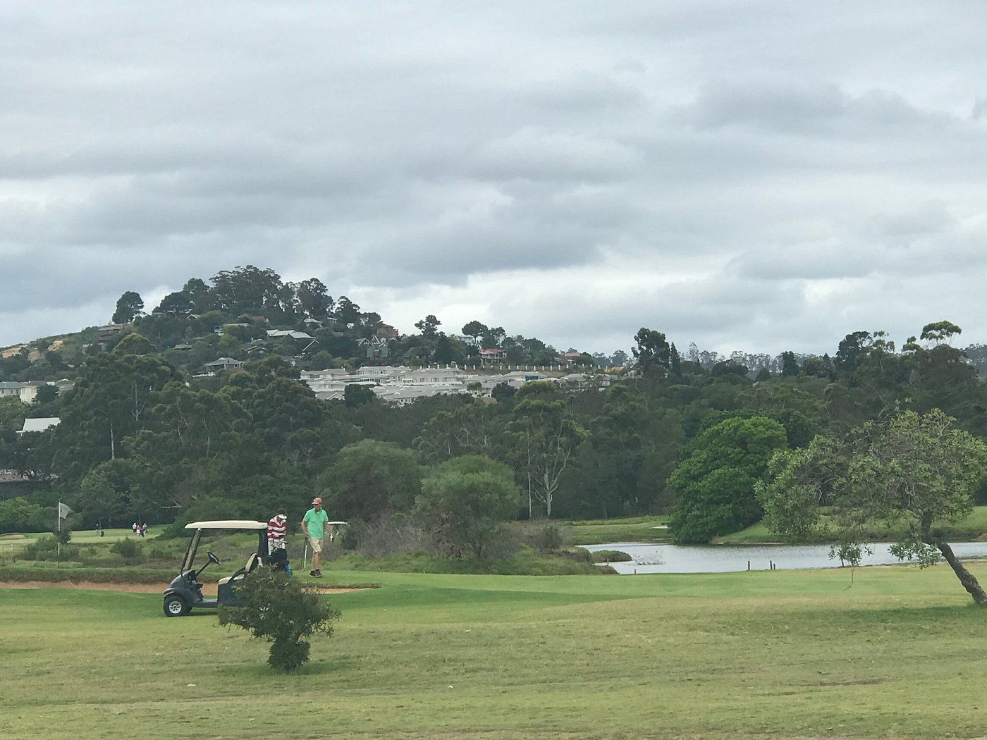 Knysna fairway with cart and Garden Route hillside